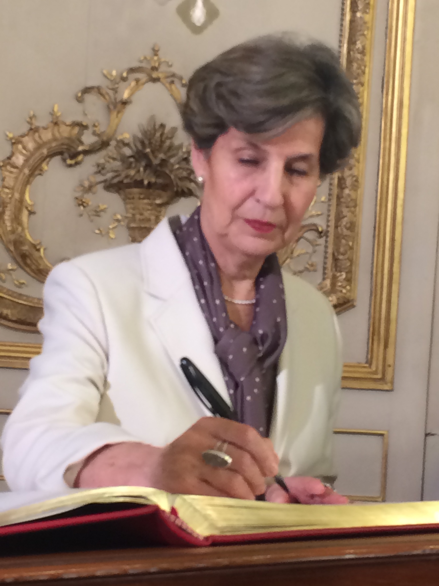 140624 Isabel Allende Senat 1